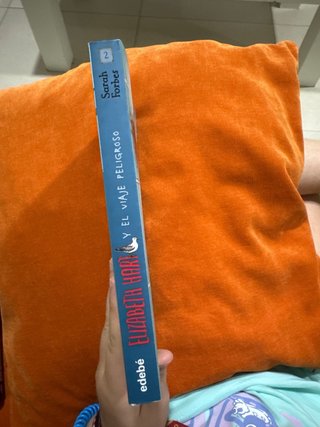 Elizabeth Hart y el viaje peligroso
