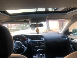 Audi A5 2014