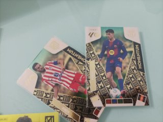 Cromos Adrenalyn XL 25/26