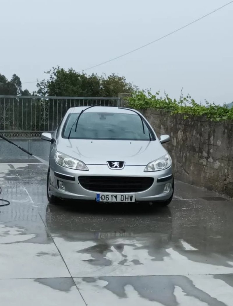 Peugeot 407 - foto 1