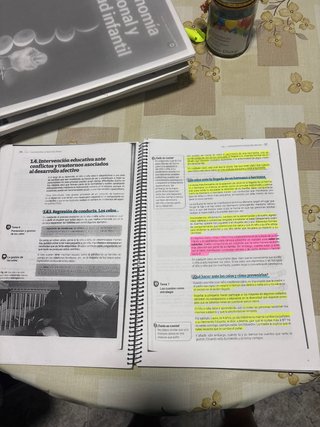 Desarrollo socioafectivo servicios sociocultura...