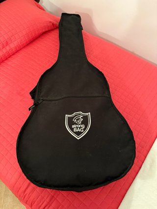 Guitarra Electroacústica Rochester CFG-3 BLS