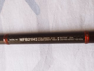 ✅ CAÑA DE PESCA DAIWA MEGAFORCE BOAT 2.10m 100/300