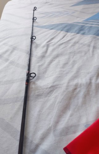 ✅ CAÑA DE PESCA DAIWA MEGAFORCE BOAT 2.10m 100/300
