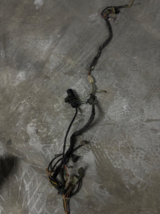cableado Derbi Senda y porta matrículas y marcador
