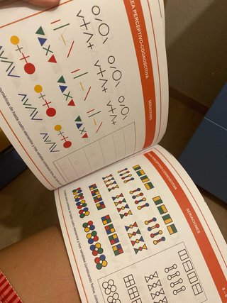 Programa de habilidades perceptivo cognoscitivas