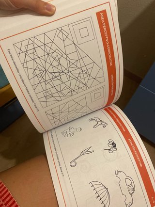 Programa de habilidades perceptivo cognoscitivas