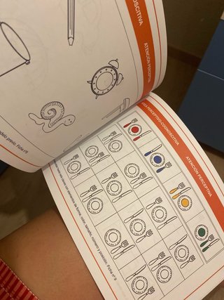 Programa de habilidades perceptivo cognoscitivas