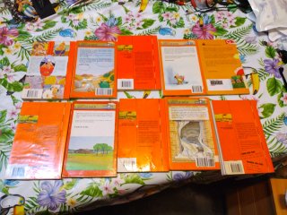 Diez libros barco vapor