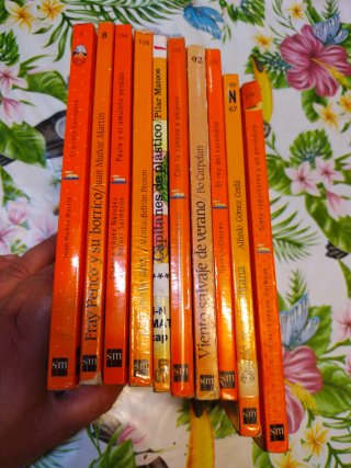 Diez libros barco vapor
