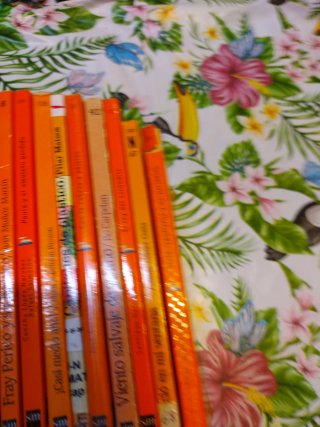 Diez libros barco vapor