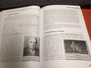 Psicología de la motivación teoría y prácticas ...