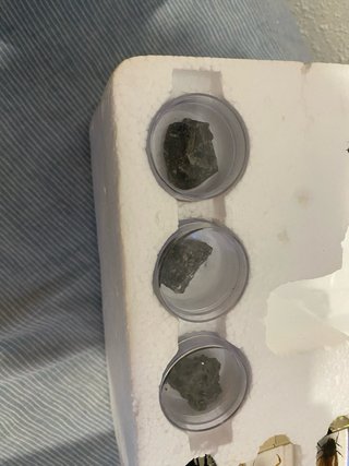Microscopio Binocular 3D Buki France