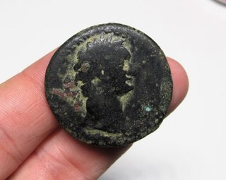 5 Monedas Romanas As (Agripa, Domiciano, Germánico
