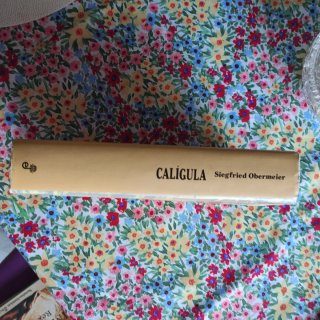 Libro Calígula el dios cruel