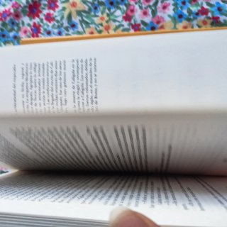 Libro Calígula el dios cruel