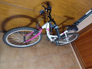 Lote 4 Bicicletas Infantiles