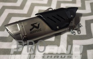 Cola de escape  BMW F900 XR