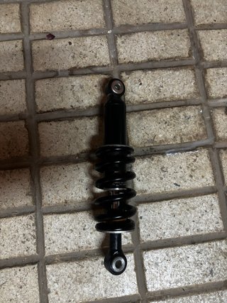 Amortiguador Gas 295mm