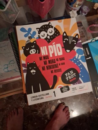 Lengua Castellana y Literatura sin prisa 1, Pri...