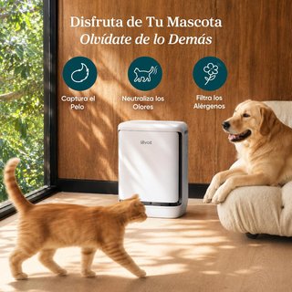 Purificador Aire Levoit VitalPetPro Mascotas