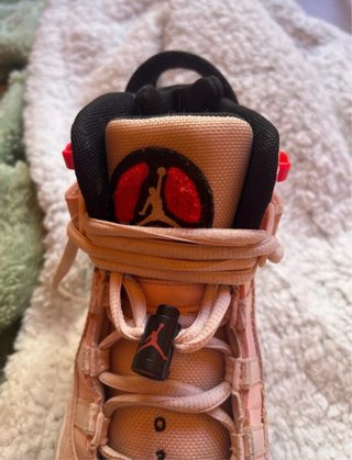 Jordan 6 Pink