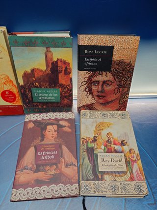 Lote 6 novelas históricas, las ciudades carnales, el tesoro de los templarios y más