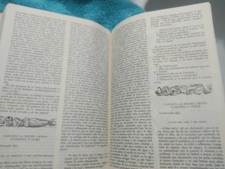 Libro lectura