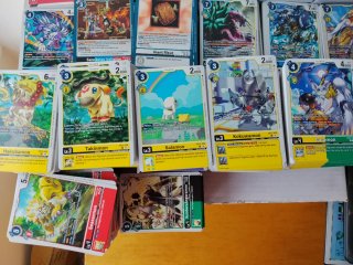 Lote Cartas Digimon EX12