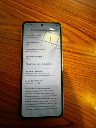 Samsung Galaxy Z Flip 6 256 GB