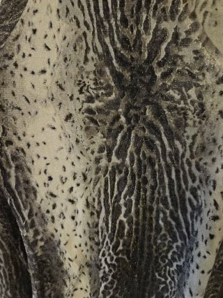 Maglia Roberto Cavalli Class