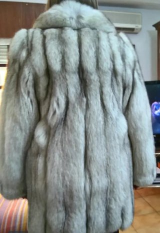 Abrigo de zorro polar gris y blanco