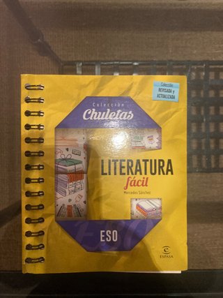 Literatura fácil ESO