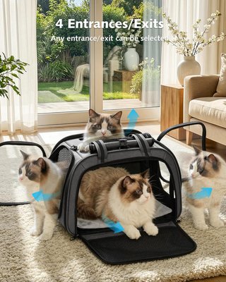 PECUTE Bolsa Transporte Mascotas L Ventana