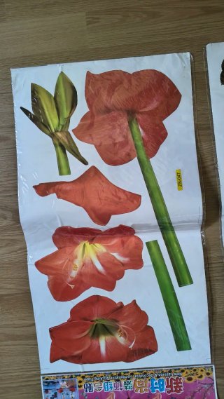 Vinilos decorativos de flores variadas