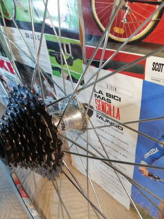 Rueda STX RC 8s Cassette STX RC 8v LLanta AlexRims
