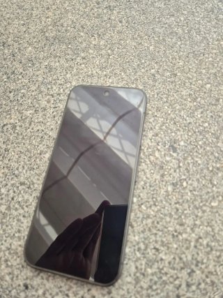 Google Pixel 9 256 GB Negro