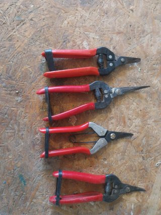 Tijeras de podar frutales