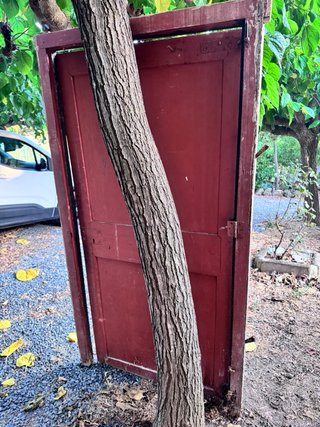 Puerta madera maciza
