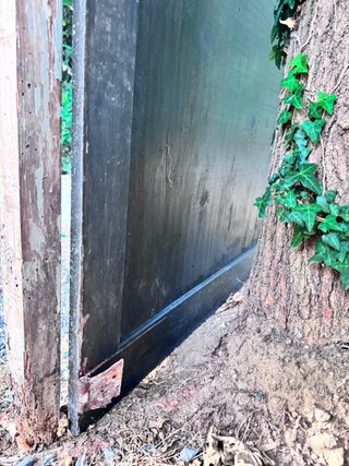 Puerta madera maciza