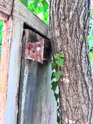 Puerta madera maciza