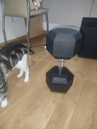 Mancuerna 30 kg Nueva