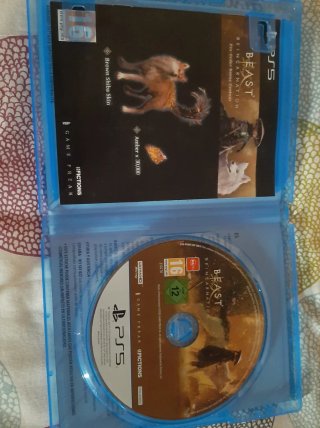 Beast of Reincarnation Ps5