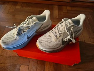 Nike Air Zoom Pegasus 42 Talla 41