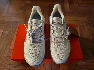Nike Air Zoom Pegasus 42 Talla 41