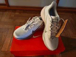 Nike Air Zoom Pegasus 42 Talla 41