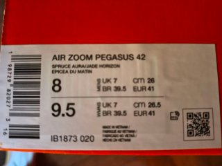 Nike Air Zoom Pegasus 42 Talla 41