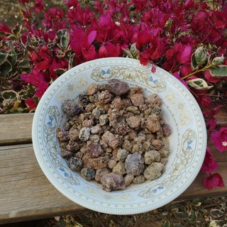 sustrato acuario grava volcanica pecera