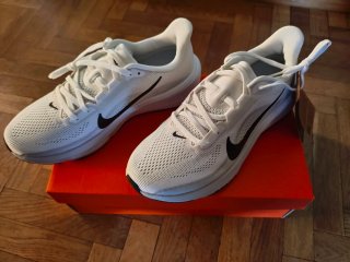 Nike Air Zoom Pegasus 42