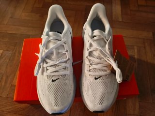 Nike Air Zoom Pegasus 42